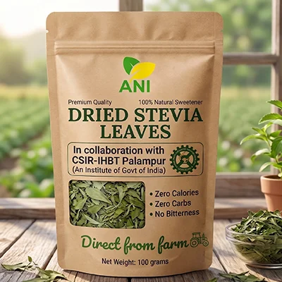 Dried Stevia Leaves